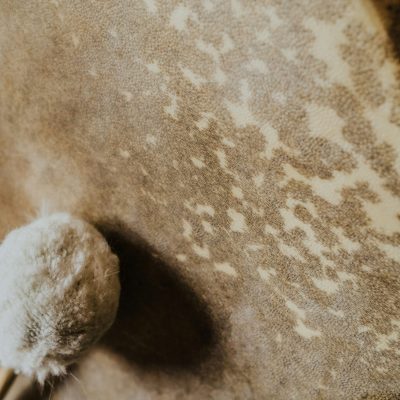 tamas-sandor-qk-OFjJB-0o-unsplash